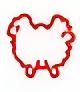 Pavos